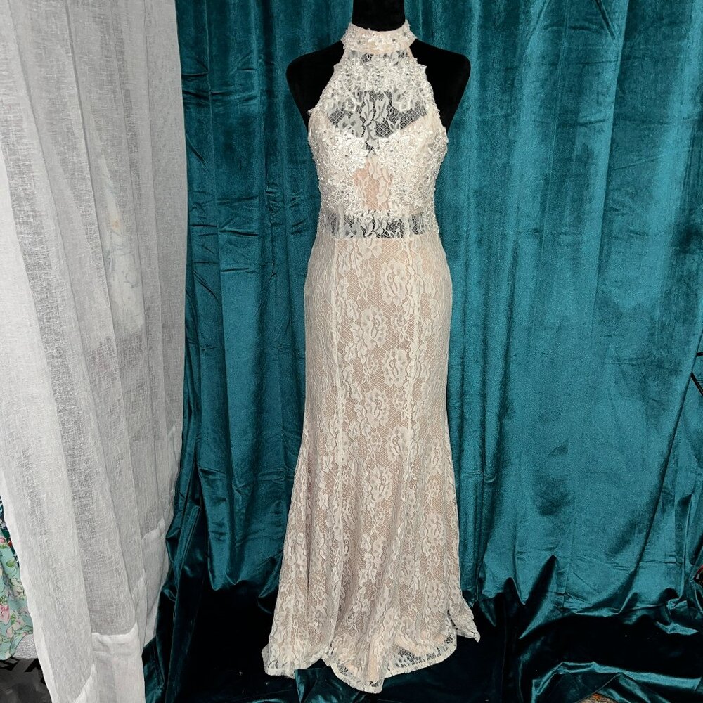 Romantic and Sexy Bodycon Lace Gown